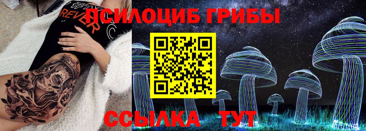 Борзя  Псилоцибиновые грибы Cubensis  Вход с VPN 